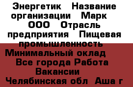 Энергетик › Название организации ­ Марк 4, ООО › Отрасль предприятия ­ Пищевая промышленность › Минимальный оклад ­ 1 - Все города Работа » Вакансии   . Челябинская обл.,Аша г.